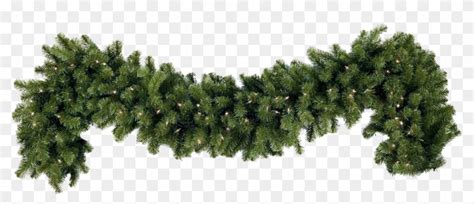 Yawd provides for you free garland png cliparts. Garland - Christmas Garland Png - Free Transparent PNG ...