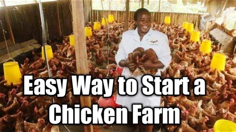 Use a fork and press the breading into chicken until enough is coated a making a layer covering the chicken. Easy Way to Start a Chicken Farm - YouTube