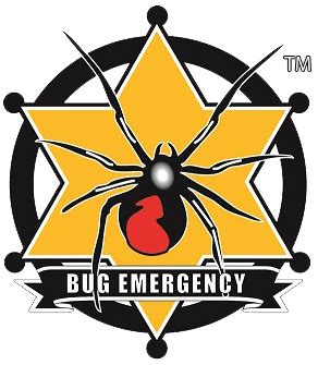 Search for a pest control company by entering the beginning letters of the company name and/or the beginning characters of the license number. Bug Emergency Pest Control - Bullhead City, AZ | Mohave Local