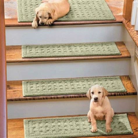 What about paint with sand mixed in it. These anti-slip stair treads will protect your while ...