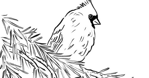 Simply do online coloring for cardinal bird house coloring page directly from your gadget hello folks , our todays latest coloringpicture that you canwork with is cardinal bird house coloring page. Cardinal Coloring Page - Samantha Bell