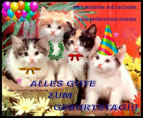 Lustige geburtstagsglückwünsche mit witzigen bildern. Pin von Christine D auf Geburtstag in 2020 ...