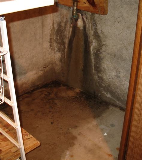 The washing machine, dishwasher, and, of. Water leaking out from under pipe in basement (picts)