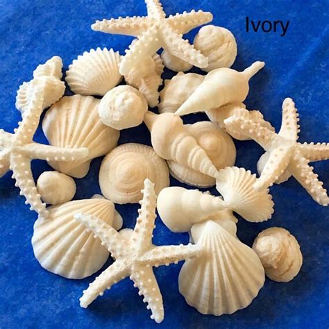 Maybe you would like to learn more about one of these? Small Fondant Seashells Starfish Mix Assorted Fondant ...