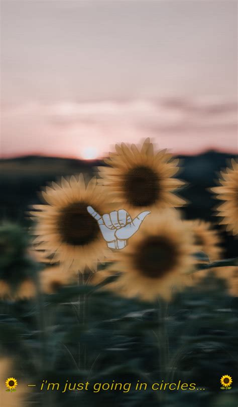 📺 aesthetic & vaporwave frame : Aesthetic Sunflower Wallpapers - Wallpaper Cave