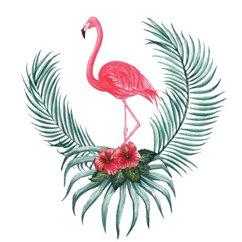 Are you searching for flamingo svg png images or vector? Watercolor flamingo decoratief | Gratis Vector