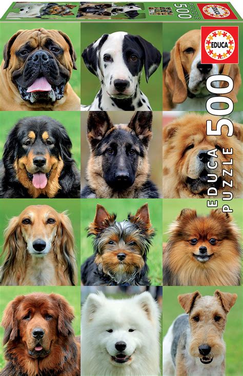 Our customers choose to buy from us for a number of reasons. Educa Dogs Collage 500 Piece Animals & Wildlife Jigsaw ...