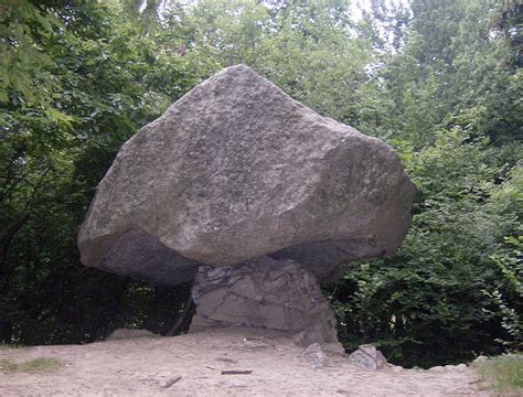 La pianta può raggiungere il metro d´altezza. File:Pietra Pendula.jpg - Wikimedia Commons