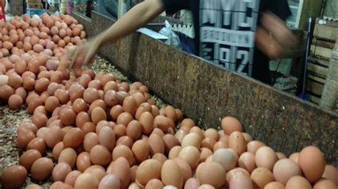 Telur ayam belakangan ini mengalami kenaikan harga yang terbilang sangat tinggi. Pasokan Berkurang, Harga Telur di Jakarta Tembus Rp 27 ...