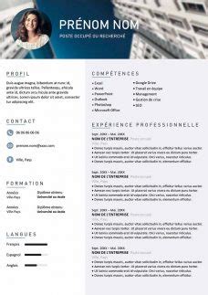 Cv sans photo · mycvfactory cv simple a remplir professionnel model cv vierge word modele cv gratuit exemples cv template pdf download exemple cv expert modele gratuit lettre resiliation free mobile 11 cv parfait gratuit plan d affaire salon de coiffure pdf 29 conception plan d exemple. Exemple de CV à Remplir Gratuit au Format Word | CV Word