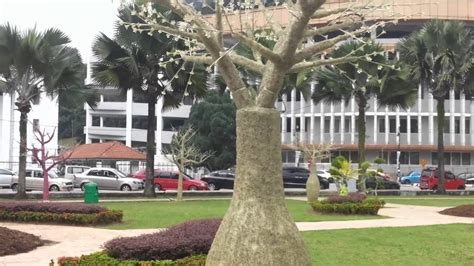 All 382 rooms command a magnificent view of the straits of johor or the scenic city view. Malaysia Documentary - Johor Bahru, Malaysia - YouTube