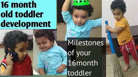 Please take into consideration the level of development that. 16 month old toddler growth development/Day activities of ...