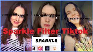 How to do the bling effect on tiktok? Sparkle filter tiktok || An easy way to add effects ...