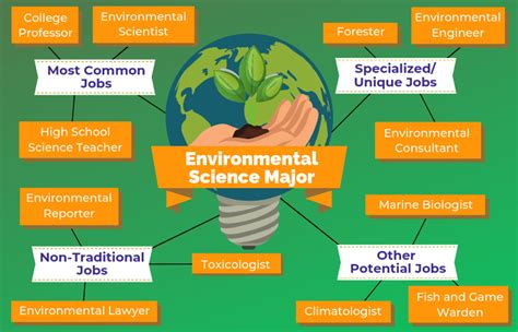 This is relevant in almost all fields of work and there are many opportunities for employment. What to do with an environmental science degree (or ...