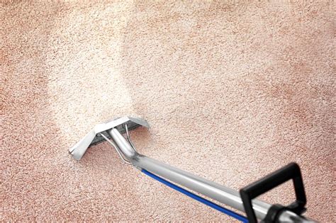 Mit waschmittel uringeruch aus teppichboden entfernen nicht nur die wäsche wird mit waschmittel wieder sauber. Schmutz Vom Teppich Mit Berufsreiniger Zuhause Entfernen ...