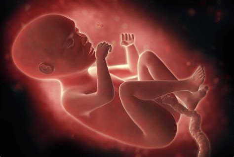 Ab wann spürt man kindsbewegungen in der schwangerschaft und wie fühlen sie sich an? Wann Drehen Sich Babys Im Bauch Galerien | Selcy Theater
