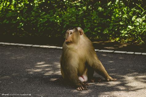 ดู 26 ภาพจากแฮชแท็ก '#ผาเดียวดาย' บน thaiphotos. ผาเดียวดาย @ เขาใหญ่ - Pantip