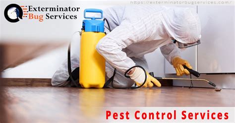 Home pest maintenance program | rose pest solutions. Pest Control Services | Termite control, Pest control ...