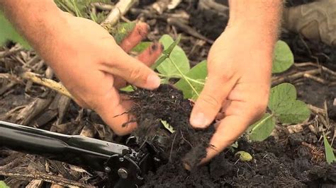 Pest control strategy that uses a combination of techniques to reduce pest pops to economically acceptable levels. What is a Nematode? | Science | Video | PBS LearningMedia