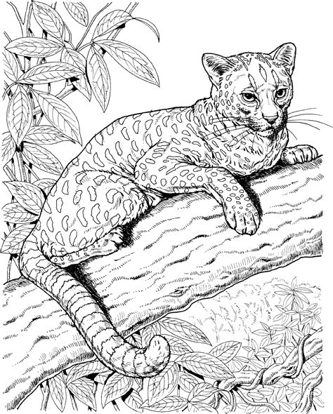 View jaguar in your market. Jaguar Coloring Pages One Downloadable | Educative Printable