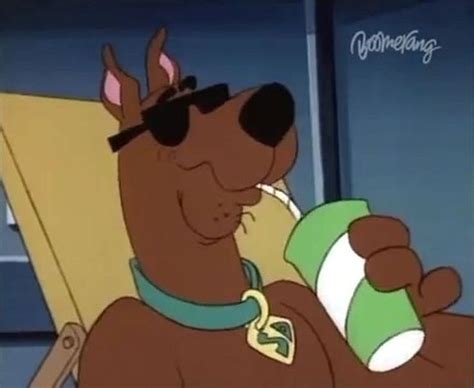 See more ideas about scooby doo, scooby, scooby doo mystery. Pin by Alexis LaMontagne on Scobby Doo in 2020 | Scooby ...