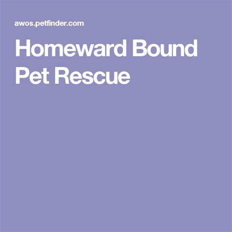 Petrescue id pet name group. Get to know Homeward Bound Pet Rescue | Animal rescue ...