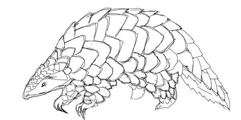 Pangolin scales have been used in chinese medicine since at least the 16th century. How to draw a Pangolin