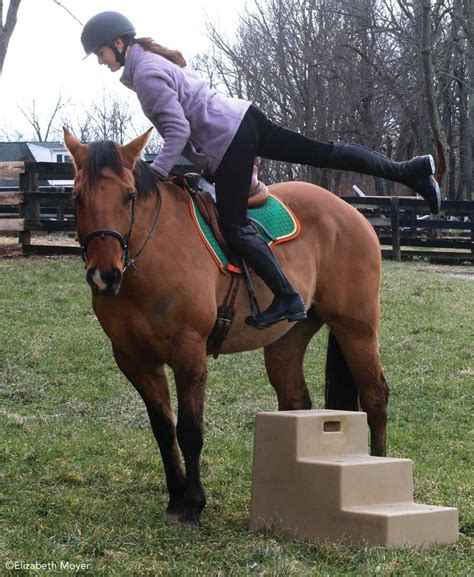 Position the pad or blanket. How to Mount and Dismount a Horse - Horse Illustrated ...