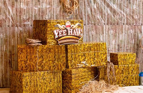 Las cruces tea party holds their independence weekend rally (video). Transform cardboard boxes into hay bales with this Yee-Haw ...