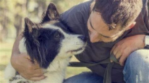 We did not find results for: Studies Reveal Dog Parenthood Makes Us Healthier | Healthy ...