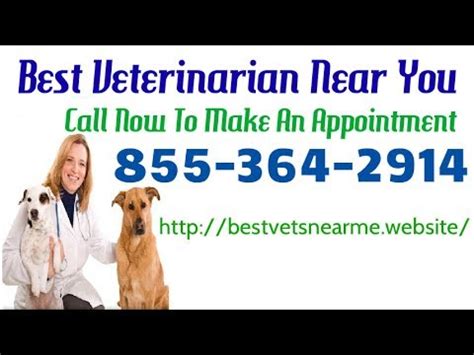 You know your pet best, so if you feel the urgent care is needed, don't hesitate to contact. Best Emergency Veterinarian Near Me 24 Hour Local