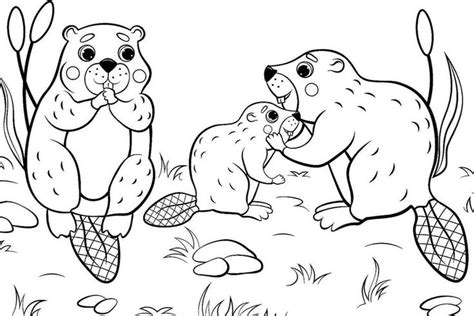 My family can be together forever. Animal Families Coloring Pages: Free & Fun Printable ...