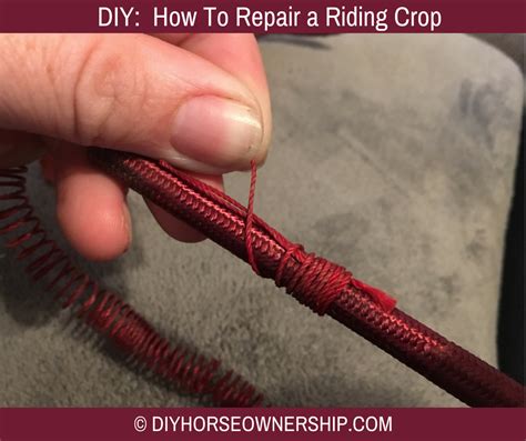 Whips and riding crops are known in horse circles as artificial aids, and are used behind the rider's leg or down the horse's shoulder to back up a command. DIY: How to Repair a Riding Crop - DIY Horse Ownership