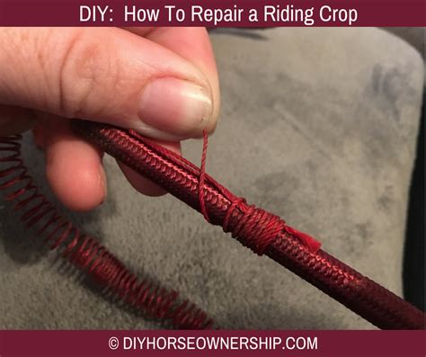 Whips and riding crops are known in horse circles as artificial aids, and are used behind the rider's leg or down the horse's shoulder to back up a command. DIY: How to Repair a Riding Crop - DIY Horse Ownership