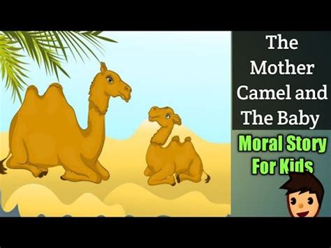 The camel, envious of the praises bestowed on the monkey and desiring to divert to himself the favor of the guests, proposed to stand up in his turn and dance for their amusement. The Mother Camel and The Baby | Moral | Bed Time Story ...