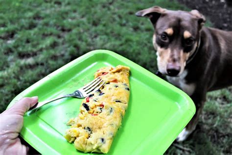 What do vegans eat in the woods? Best Vegan Camping Food - Boil in a Bag Omelettes! - The ...