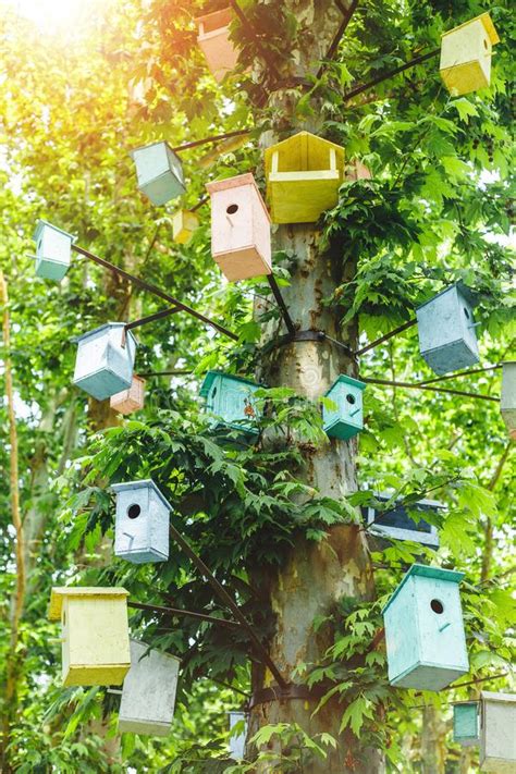 Feel confident that you are receiving exceptional products and service by choosing architectural birdhouses unlimited. Many Birdhouses Of Different Colors On The Tree Stock ...