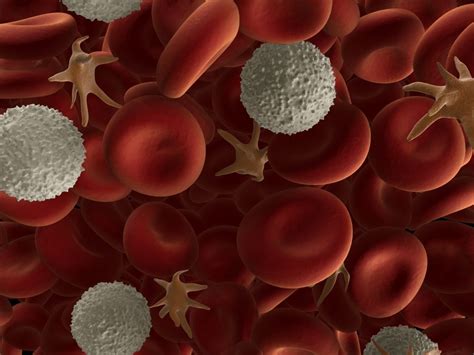 All blood cells, including white blood cells, red blood cells, and platelets a deficiency of one type of all white blood cells may occur with several immunodeficiency syndromes. Blood cells (Types and functions) - Online Science Notes