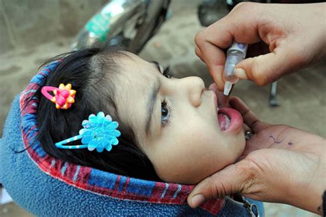 The oral polio vaccine (opv) that has brought the wild poliovirus to the brink of eradication has many benefits: Europe Now Looking Over Its Shoulder at Syrian Polio ...
