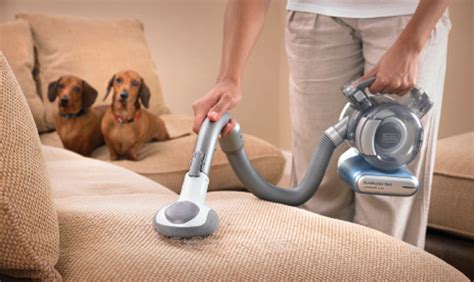 The miele blizzard offers 4 levels of cleaning power, which is controlled with a knob on the cleaner's body. Animali in casa: consigli per le pulizie - CasaFacile