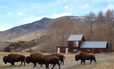 We did not find results for: Above the Rest Lodge | Yellowstone Country, Montana