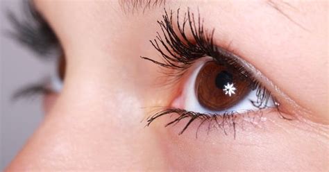 Mungkin ini 4 penyebab mata sering berkedip. Kelopak Mata Berkedip-kedip Tanda Ada Orang yang ...