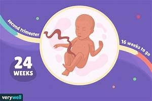 24 Weeks Baby Development Symptoms And More