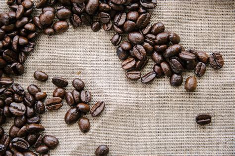 Growing coffee isn't as simple as throwing a few seeds on the ground and coming back a few years later. Coffee Beans pure and simple - Claire Gardner Photography
