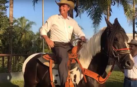 Os torcedores levaram faixas em que chamam bolsonaro de genocida e bandeiras de movimentos. Ativistas dos animais promovem protesto contra Bolsonaro ...