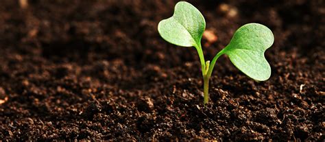 Click here to download now! Como Montar um Laboratório de Análise de Solo.