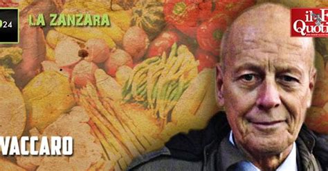 Valdo vaccaro non teme confronti in italia come preparazione igienista. Vegani, nutrizionista Vaccaro le spara grosse a la Zanzara ...