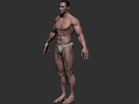 The height of character is 180 cm and the eyeball size is approximately 2,5 cm. Male Anatomy 3D Model Game ready .obj - CGTrader.com