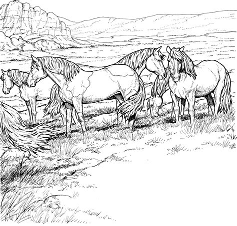 Horse coloring page printables for adults. Pin by Laura Varelman on cσℓσrιηg ραgєѕ | Horse coloring ...