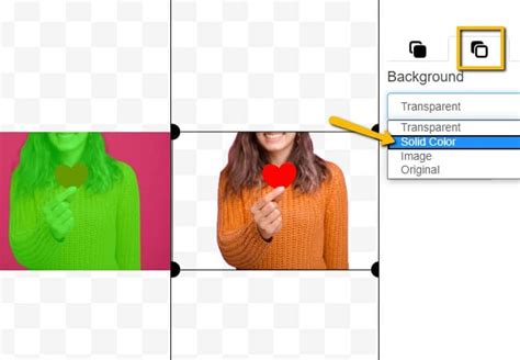 Tool also have option to increase or decrease fuzz of color for more precision in transparency of image. Best 10 Online Photo Editors Change Background Color to White